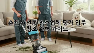 춘천 요선동 청소업체 평가: 입주 청소 완벽 가이드 🏠✨