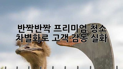 ✨반짝반짝✨ 프리미엄 청소, 차별화로 고객 감동 실화?! 💖